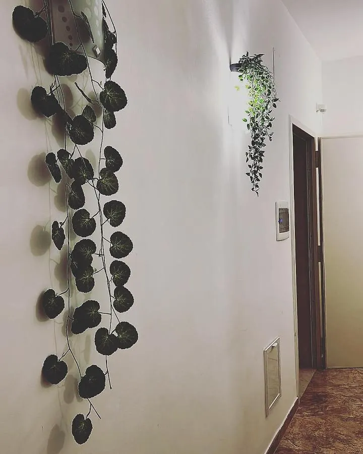 Esperanto B&B Bari 0*,  Italy